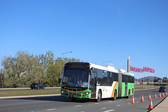 Canberra buses transport