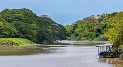 Palo Verde - Costa Rica 2019