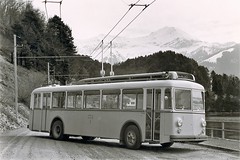 Bus et Trolleybus de Steffisburg Thun Interlaken (Suisse)