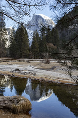 Yosemite 12-2019