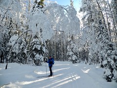 2019 December 30 - Ribbon Creek to Wedge Pond Cross-country ski