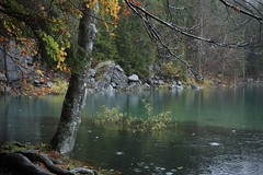 Lac Vert Passy 6 Nov 2019