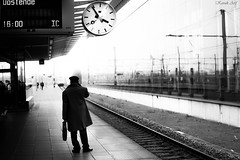 Belgium Railway SNCB NMBS Photography Arif Kavak