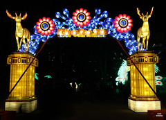 China Light Festival 2020