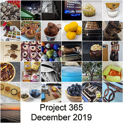 2019 Project 365 Mosaics