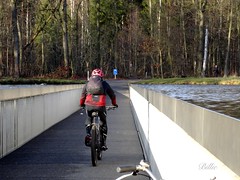 Cycling through the water