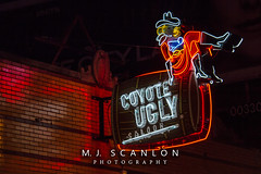 Coyote Ugly | Memphis, Tennessee
