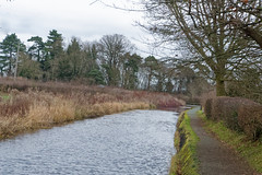 Amblers walk from Canal Central