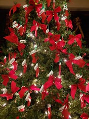 Christmas Tree At The Community House