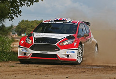 Ford Fiesta R5 Chassis 133 (active)