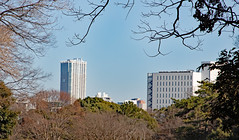 2020-03-Japan