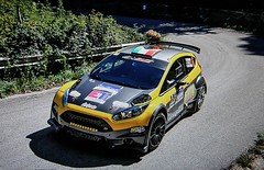 Ford Fiesta R5 Chassis 134 (active)