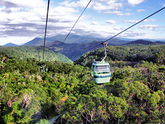 Kuranda to Cairns Skyrail Rainforest Cableway