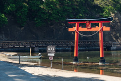 Japan Torii gates｜日本鳥居