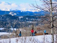 2020 January 5 - Brown-Lowery Provincial Park Winter Hike