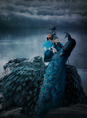 peacock queen