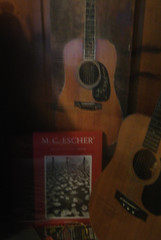 Escher/Guitar series