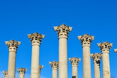 Capitol Column Capitals