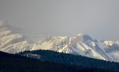 2020 January 10 - Ranger Summit Winter Hike From West Bragg Creek