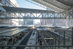 2019/11/23 大阪駅、生国魂神社