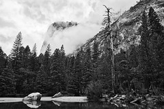TRIP | Yosemite 2019