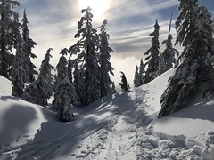 Mount Seymour ski - January 2020