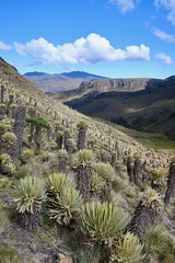 Landscapes of the Paramo