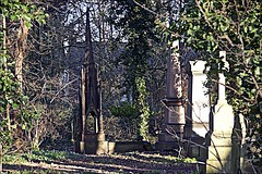 Hull General Cemetery 30 December 2019