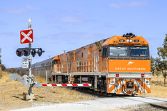 Passenger Trains in AUS