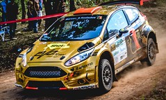 Ford Fiesta R5 Chassis 155 (ative)