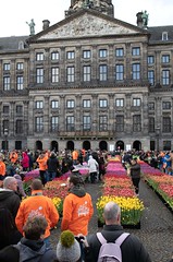 Amsterdan Tulip Festival 2020