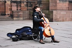 Brice Bauer, Cellist