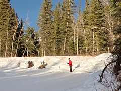 2020 January 19 - Ski outing onto Fish Creek