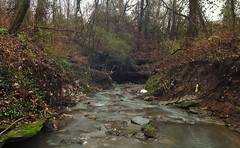 Unnamed Creek, 1/23/2020