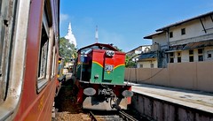 Rail, Sri Lanka