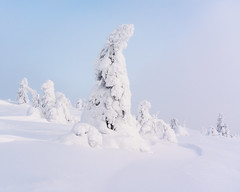 Finland January 2020