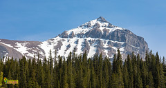 Rocky Mountaineer (Canada) - Kamloops to Banff
