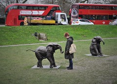 Marble Arch Elephant Sculptures Jan2020