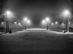 Brouillard / Fog