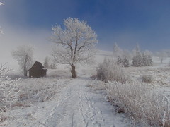 Winter in Góry Suche, Poland. Part 1.