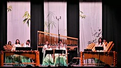 Beijing Bamboo Orchestra