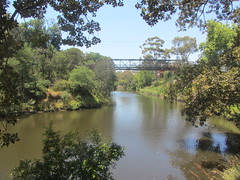 Walk along the Yarra River,Melbourne,  My Birthday, Jan 2nd 2020