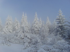 Winter in Góry Suche, Suchawa, Poland. Part 2.
