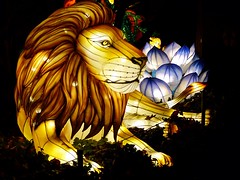 China Licht  Festival im Kölner Zoo