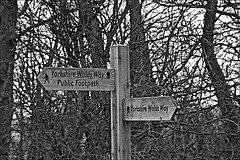 Littlewood Road Views in Monochrome 13 January 2020