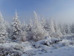 Winter in Góry Suche, Suchawa, Poland. Part 3.