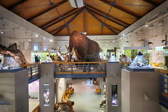 2020_Hungarian Natural History Museum