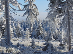 Winter in Góry Suche, Suchawa, Poland. Part 4.