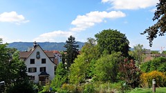 Zürich Botanischer Garten