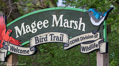 MAGEE MARSH NATIONAL RESERVE